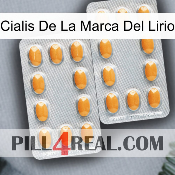 Lily Brand Cialis cialis4.jpg